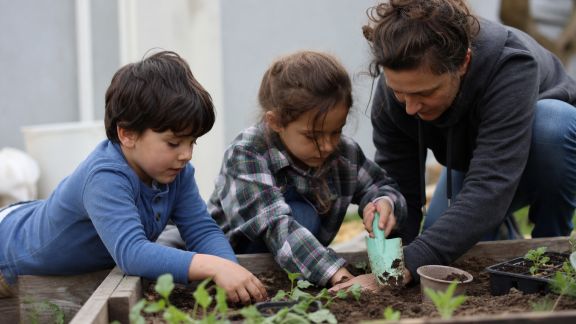 Créer un mini-coin potager avec les enfants : jardinage ludique à la maison