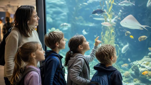 Visiter un aquarium avec des enfants : préparer la sortie et éveiller la curiosité