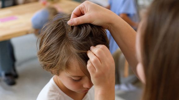 La prévention des poux à l’école et en collectivité : méthodes efficaces